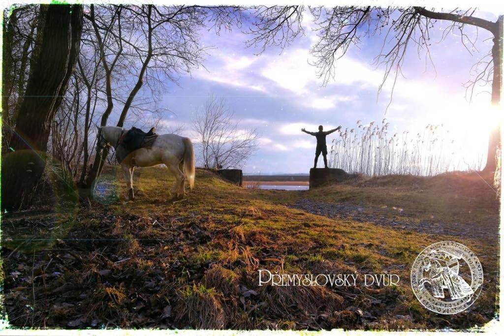 Premyslovsky Dvur Apartment Slezske Pavlovice ภายนอก รูปภาพ
